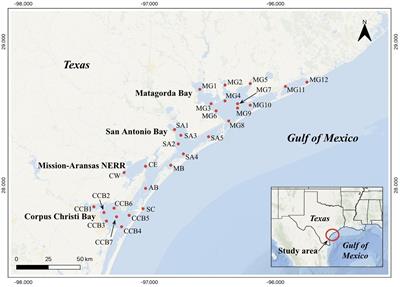 Investigating concentrations and sources of polycyclic aromatic hydrocarbons in South and Central Texas bays and estuaries along the Gulf of Mexico, USA